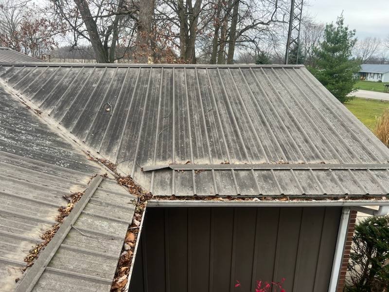 Residential metal roof covered in oxidation and leaf debris before cleaning